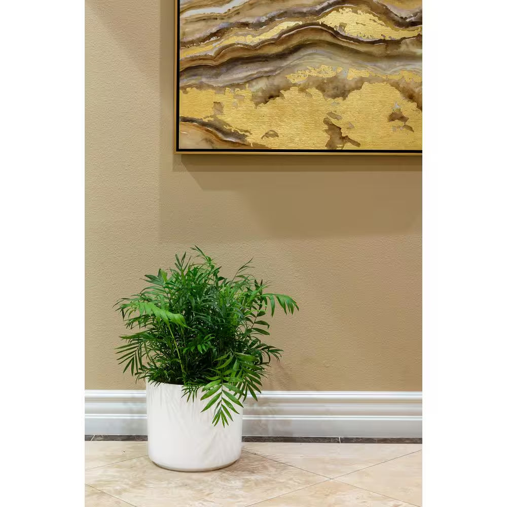 13 In. Eloise Medium Modern White Ceramic Cylinder Planter (13 In. D X 11.4 In. H) with Drainage Hole