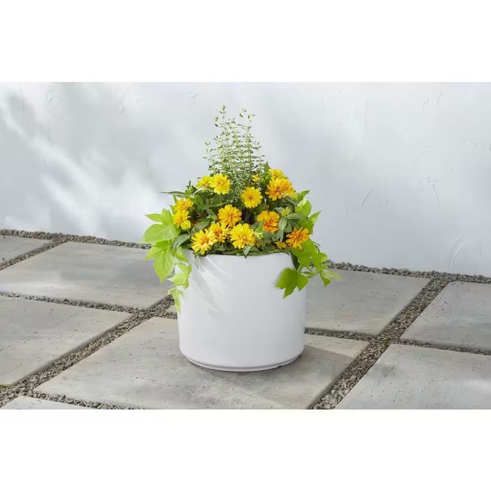 13 In. Eloise Medium Modern White Ceramic Cylinder Planter (13 In. D X 11.4 In. H) with Drainage Hole