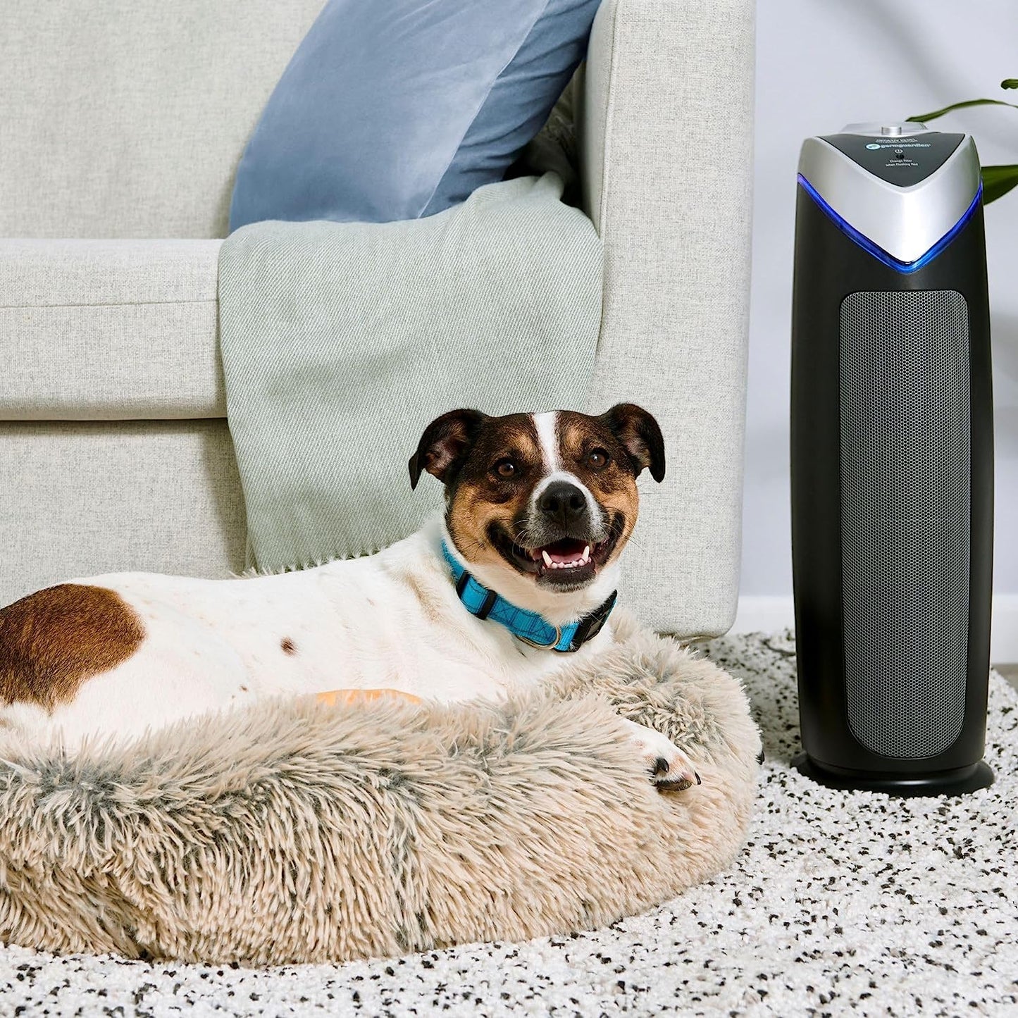 Germguardian Air Purifier with HEPA 13 Filter, Removes 99.97% of Pollutants, Covers Large Room up to 743 Sq. Foot Room in 1 Hr, UV-C Light Helps Reduce Germs, Zero Ozone Verified, 22", Gray, AC4825E